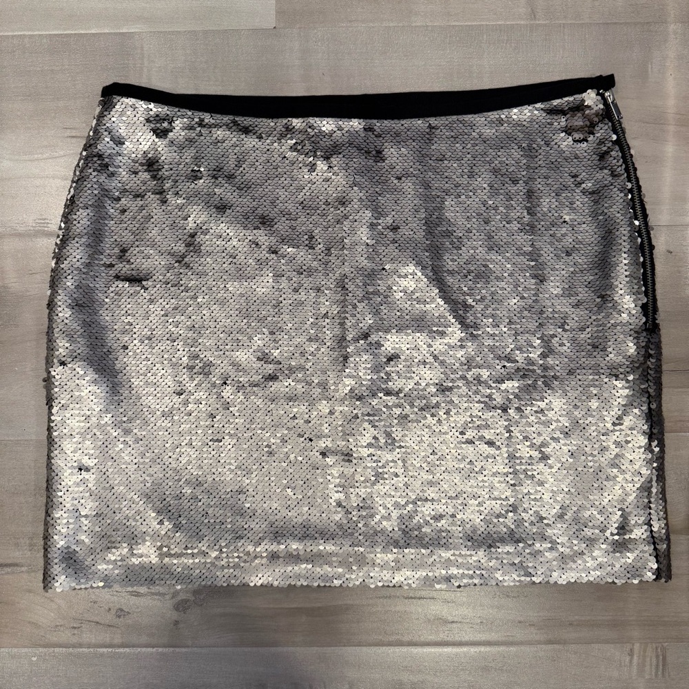 Zara Silver Sequin Pencil Skirt with Black Trim